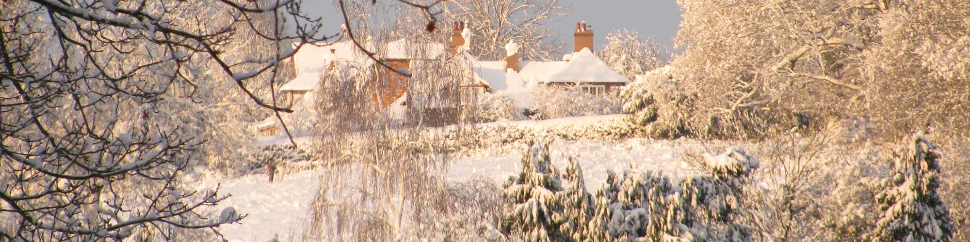Chiddingfold Parish Council